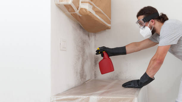 Professional Mold Testing technician working in Hewlett, NY